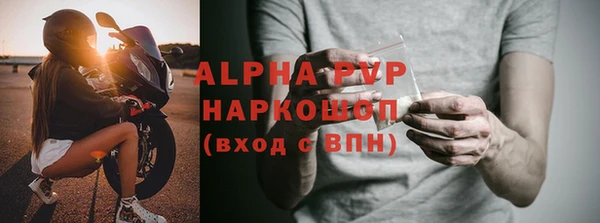 шишки Туринск