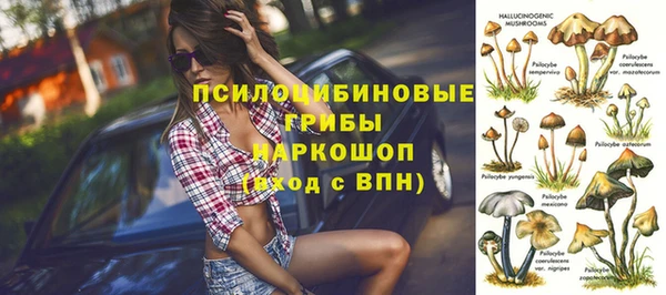 mdma Горняк